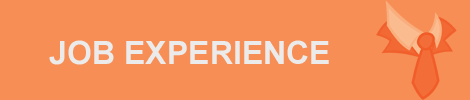 Job Experience